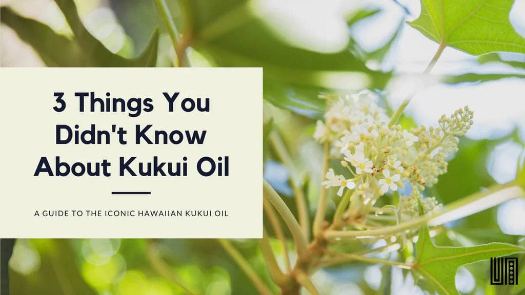 3 Things You Didn't Know About Kukui Oil